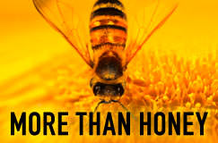 More Than Honey (DVD und Blu-ray)
