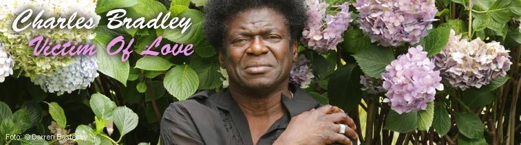 Charles Bradley: Victim Of Love