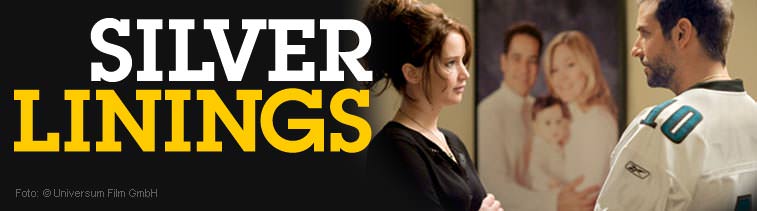 Silver Linings (DVD und Blu-ray)