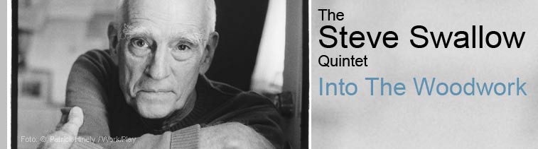 Steve Swallow: Into The Woodwork