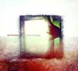 Joel Harrison  (geb. 1957): Infinite Possibility, CD
