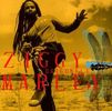 Ziggy Marley: Dragonfly, CD