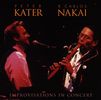 Peter Kater: Improvisations In Concert, CD