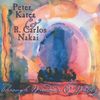 Peter Kater: Through Windows & Walls, CD