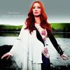 Tori Amos: Night Of Hunters, 2 LPs