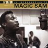 Magic Sam (Samuel Maghett): Introduction To Magic Sam, CD