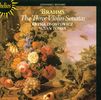 Johannes Brahms (1833-1897): Sonaten für Violine & Klavier Nr.1-3, CD