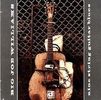 Big Joe Williams: Nine String Guitar Blue, CD