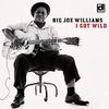 Big Joe Williams: I Got Wild, CD