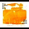 Dave Holland  (geb. 1946): What Goes Around, CD