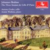 Johannes Brahms (1833-1897): Cellosonaten Nr.1 & 2, 2 CDs