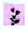 Daniel Lanois: Belladonna, LP