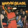 Marvin Sease: Playa Haters, CD