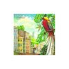 Spyro Gyra: Carnaval, CD