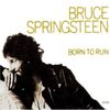 Bruce Springsteen: Born To Run, CD