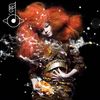 Björk: Biophilia, LP