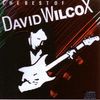 Wilcox David: Best Of, CD