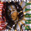Ziggy Marley: Conscious Party, CD