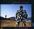 Pink Floyd: Delicate Sound Of Thunder, 2 CDs