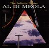 Al Di Meola (geb. 1954): The Infinite Desire, CD