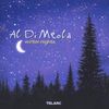 Al Di Meola  (geb. 1954): Winter Nights, CD