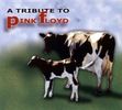 Pink Floyd: A Tribute To Pink Floyd, CD