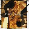 David Sanborn (geb. 1945): The Best Of David Sanborn, CD