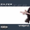 Filter: The Amalgamut, CD