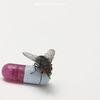 Red Hot Chili Peppers: I'm With You, CD