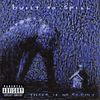 Built To Spill: There Is No Enemy, CD