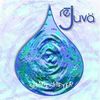 Shapeshifter: Rejuva, CD