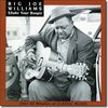 Big Joe Williams: Shake Your Boogie, CD