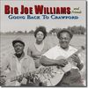Big Joe Williams: Going Back To Crawford, CD