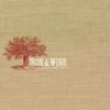 Iron & Wine: The Creek Drank The Cradle, CD