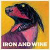 Iron & Wine: The Shepherd's Dog, CD