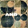 Iron & Wine: Around The Well, 2 CDs