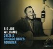 Big Joe Williams: Delta & Chicago Blues Founder (Digipack), CD