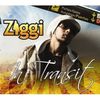 Ziggi: In Transit, CD