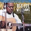Big Joe Williams: Sonet Blues Story, CD