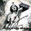 Dirty Pretty Things: Waterloo To Anywhere, CD