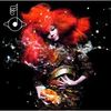 Björk: Biophilia, 2 LPs