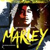 Bob Marley & The Wailers: Marley (O.S.T.) (Limited Edition), 2 CDs