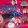 Der Hammer Hit-Mix 2013:  Volksmusik, CD