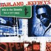 Garland Jeffreys: Wild In The Streets - The Best, CD