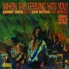 Sammy Davis Jr.: When The Feeling Hits You!, CD
