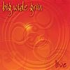 Big Wide Grin: Big Wide Grin-Live, CD