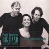 Pratt Brothers Big Band: 16 Men & A Chick Singer Swingi, CD