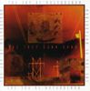 Trey Gunn: Joy Of Molybdennum, CD