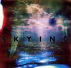Horrors: Skying (Special Limited Edition), 2 LPs