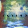 Horrors: Skying, CD